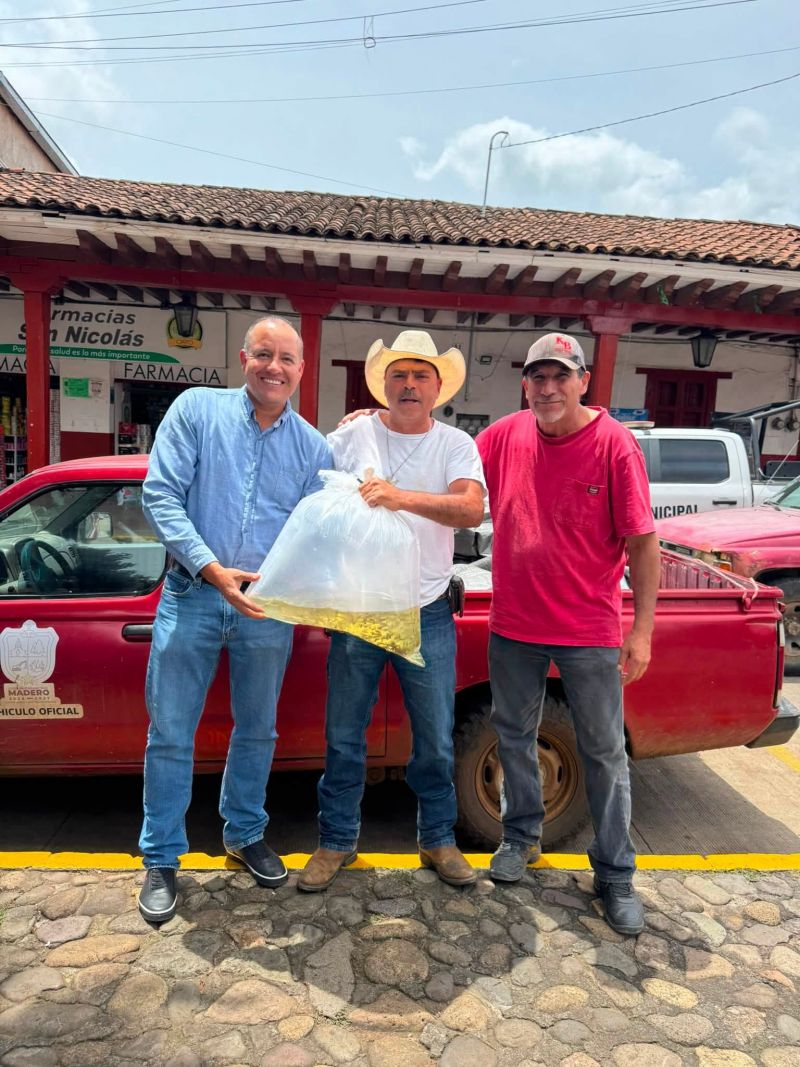 entrega de 22,600 alevines de tilapia a productores maderenses.