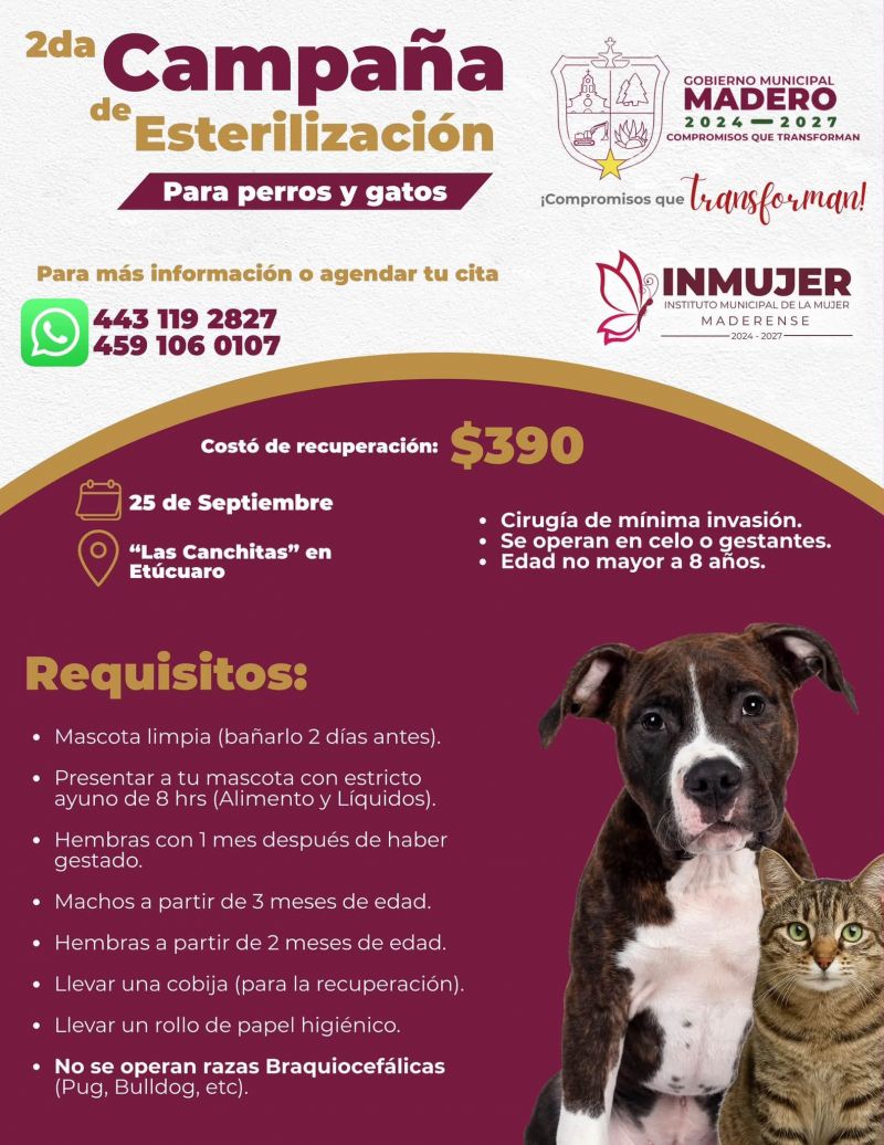 ¡CAMPAÑAS DE ESTERILIZACIÓN PARA PERROS Y GATOS!